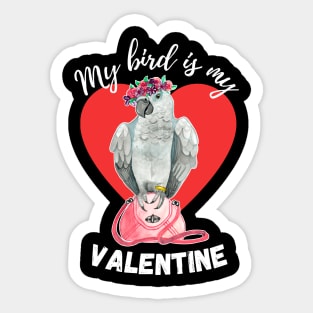 My Bird is My Valentine - African Grey Parrot Sticker